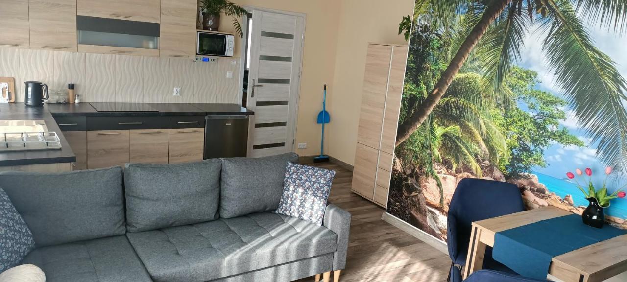 Apartamenty Modrzewiowe Tarasy Chojnice Exterior photo
